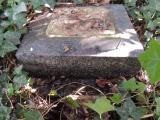 image of grave number 725524